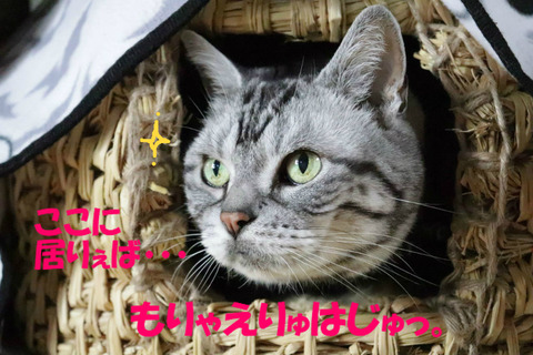 !