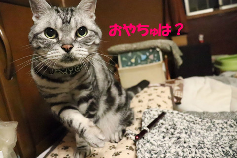 ほちいな~。