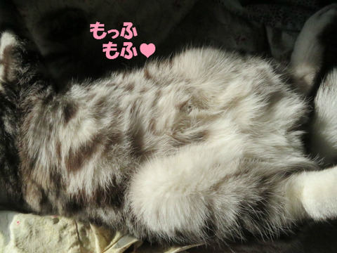 どこ撮ってう!?
