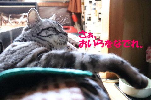 さぁっ!