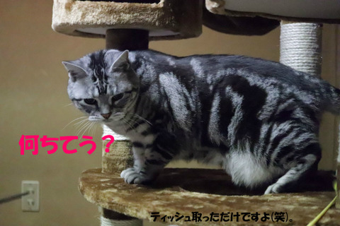 ?