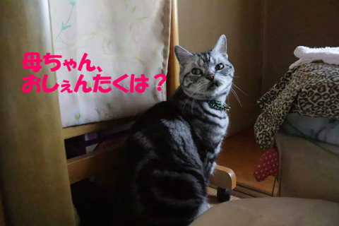 いいんでしゅかの?