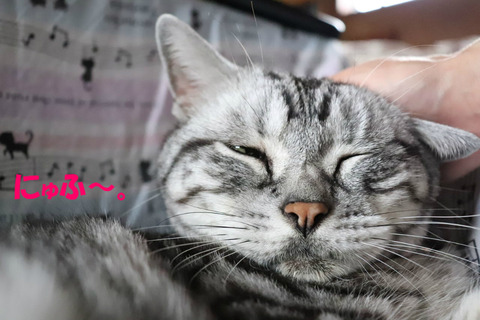 ~♪
