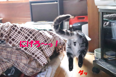 ~♪