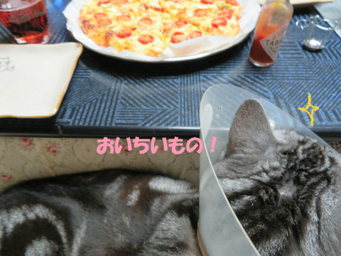 いいにおいしう!