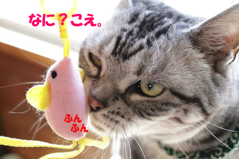 おもちゃ?