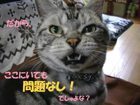 いいの!