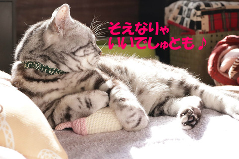 むふ~。