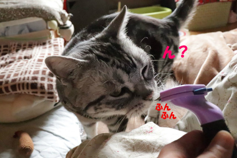 ?