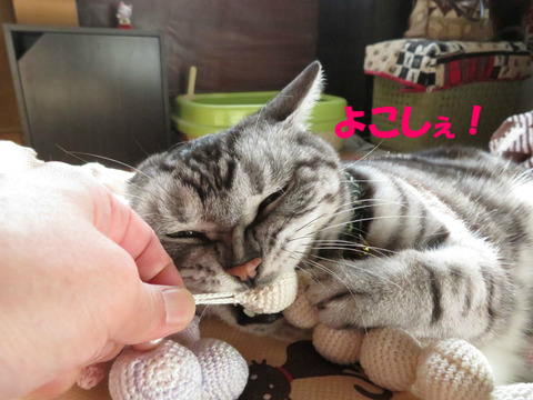 手ぇ離しぇ!