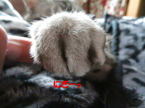 にぎってあげう。