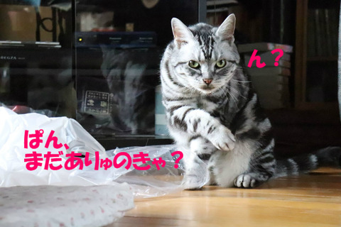 ?