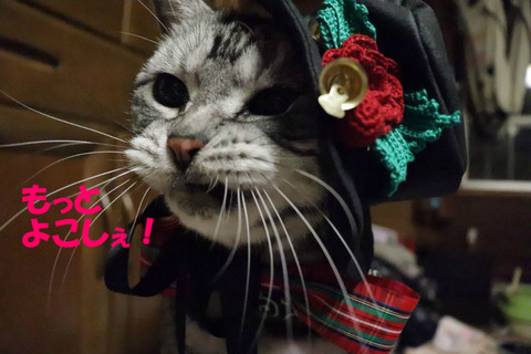 離しゅな!