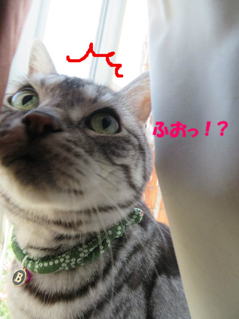 !?