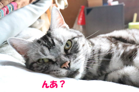 なに?