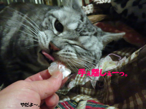 ちぎえない・・・。