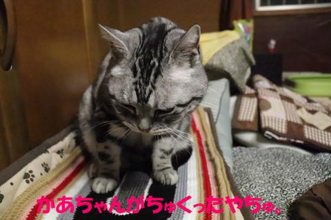 うーむ。