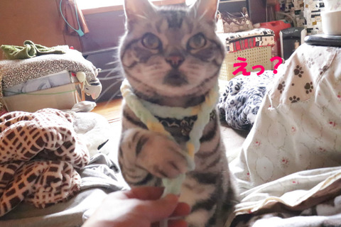 ?