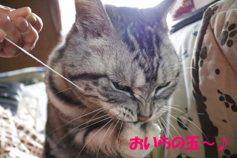 たのち~♪