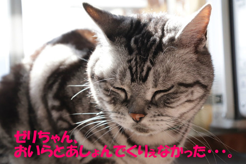 ちぇっ。