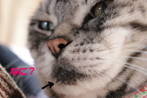 はて?