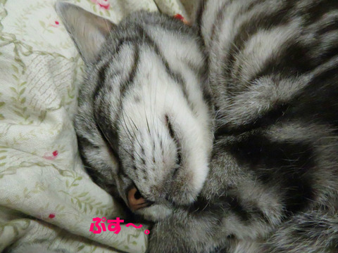 zzz…