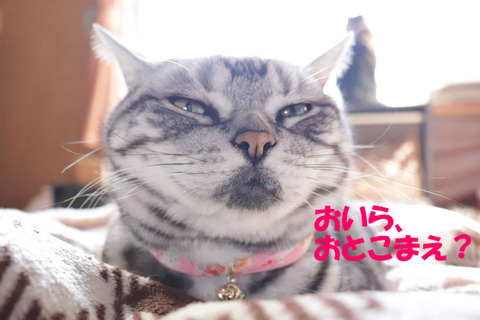 キレイ、なった?