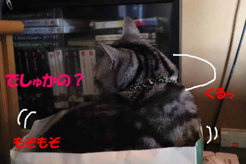 そうかな~?