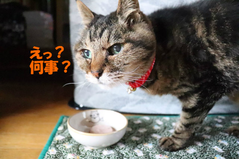 ?