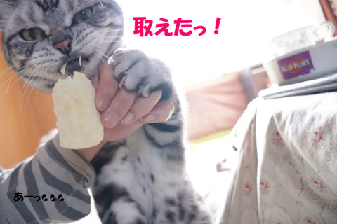 よっしゃー!