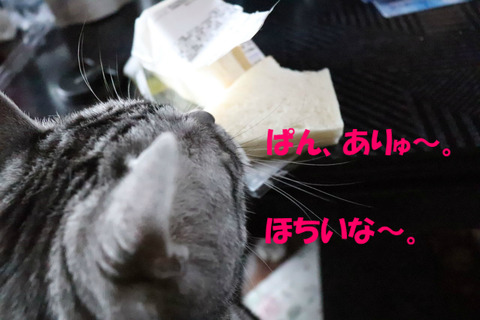 くりぇ~。