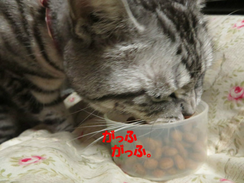うみゃいっ。