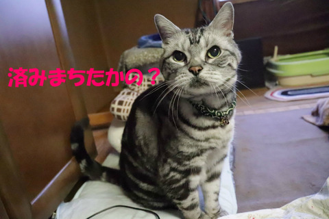 終わった?