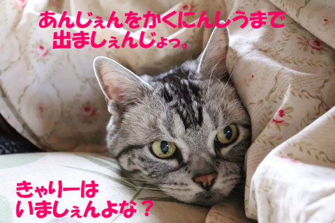 ほんとにだいじょうぶでしゅかの?