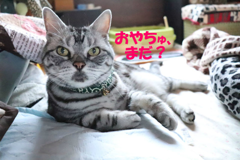 ?