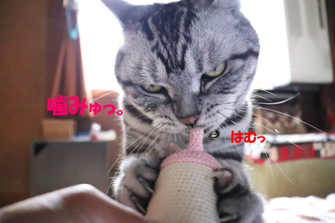 そえかりゃ、むちうっ!