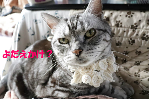 ?