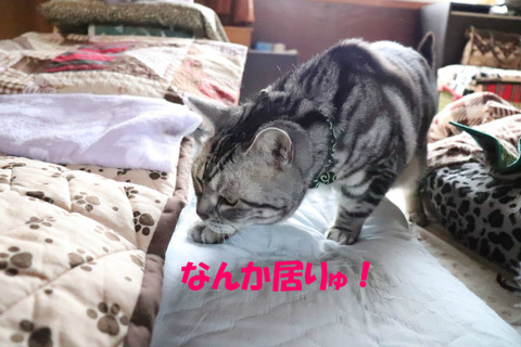 !