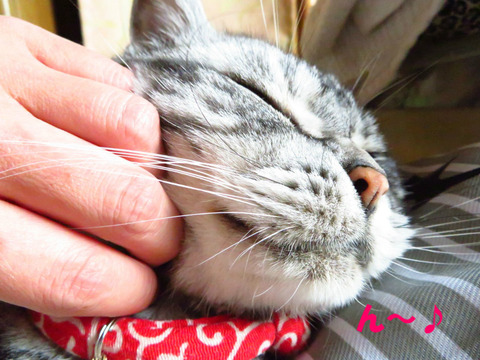 うれちいでしゅとも~♪