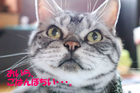 だめ?