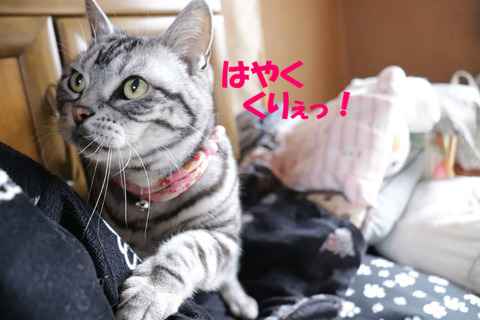 さぁっ!