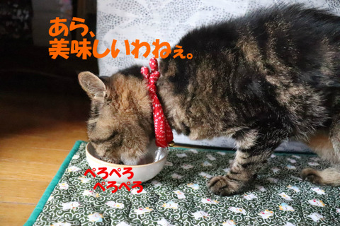 冷たいわ~。