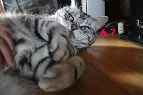 なんのこと?