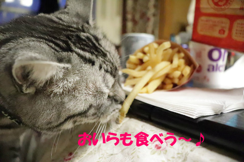 ぽてと~♪