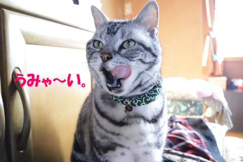 おいらもほちいな~。