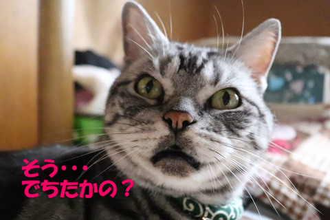 ほんと?