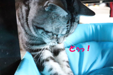 ここだぁぁぁっ!