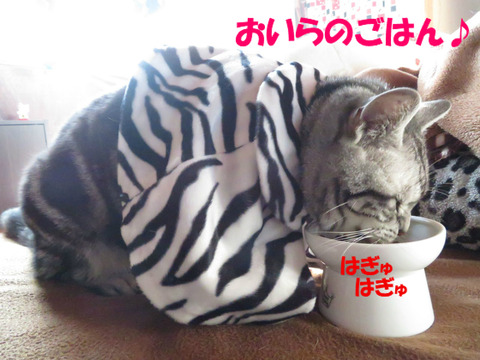 うみゃ~い♪