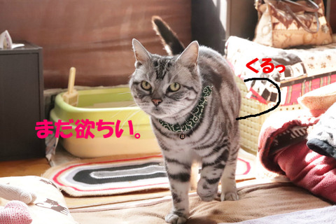 くりぇ。