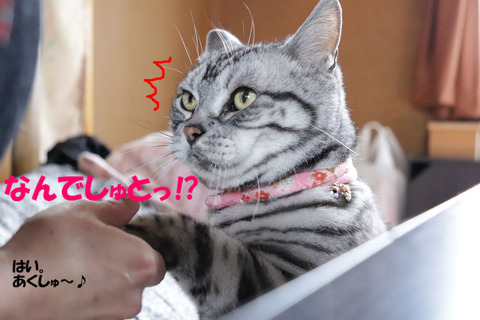 !?